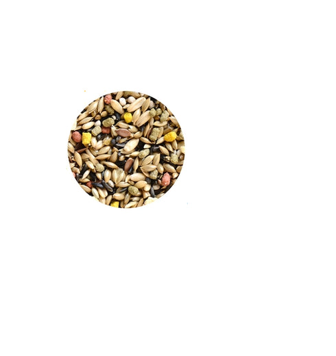 Hrana pentru canari Wellness 1kg